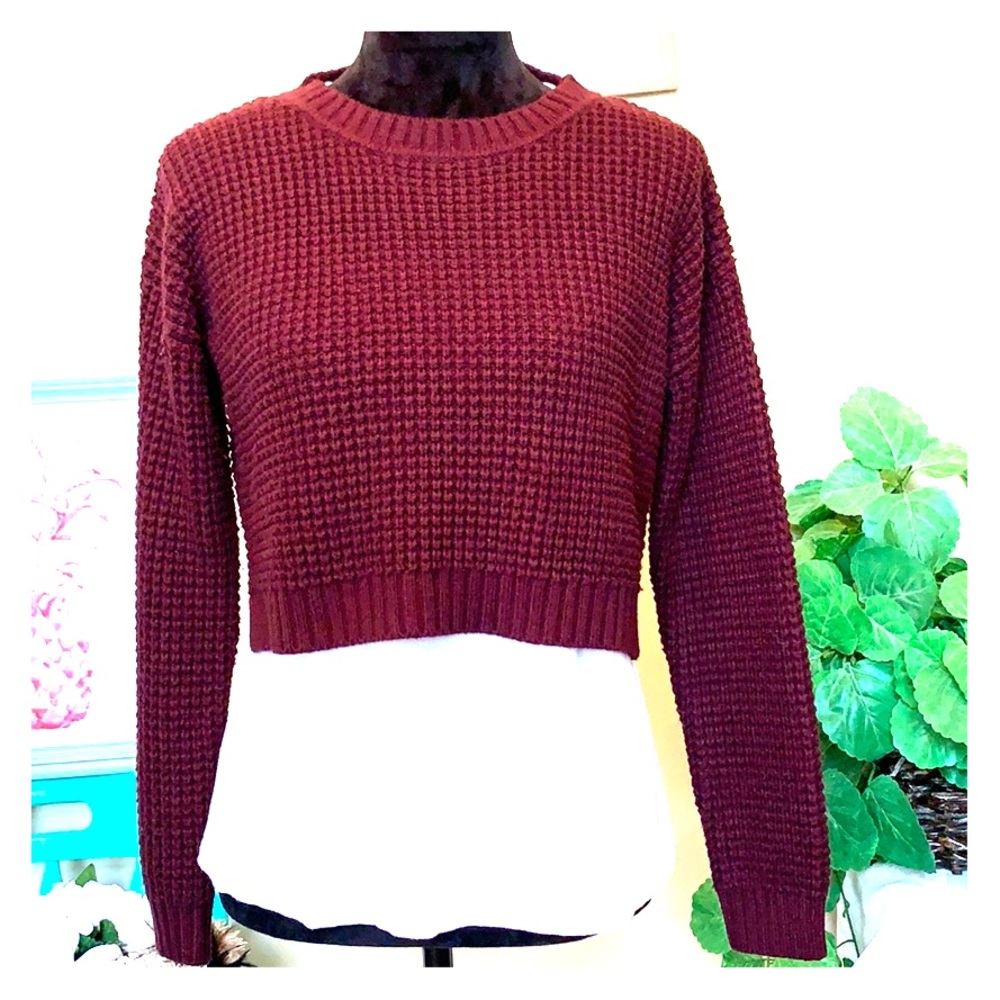 Forever 21 Maroon Cropped Sweater